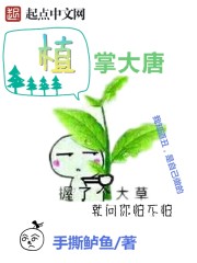 江云萝凌风朔战王他身娇体软免费阅读全文